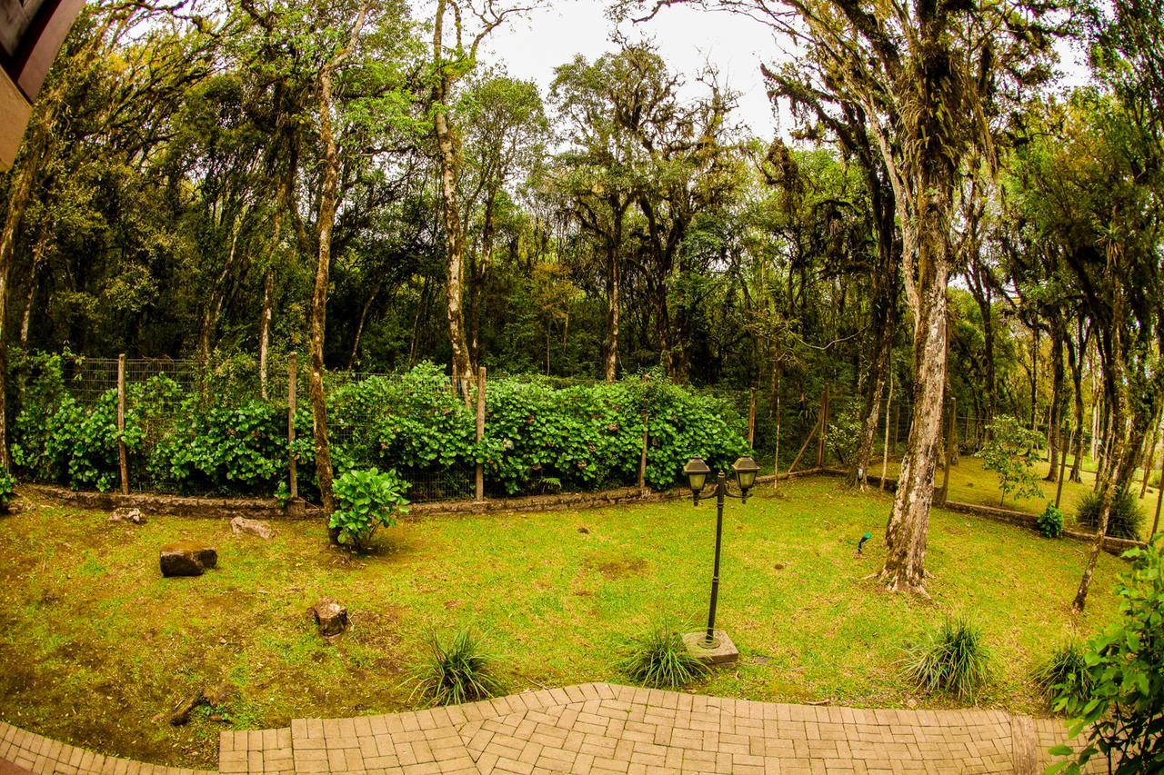 Pousada Das Papoulas Gramado Esterno foto